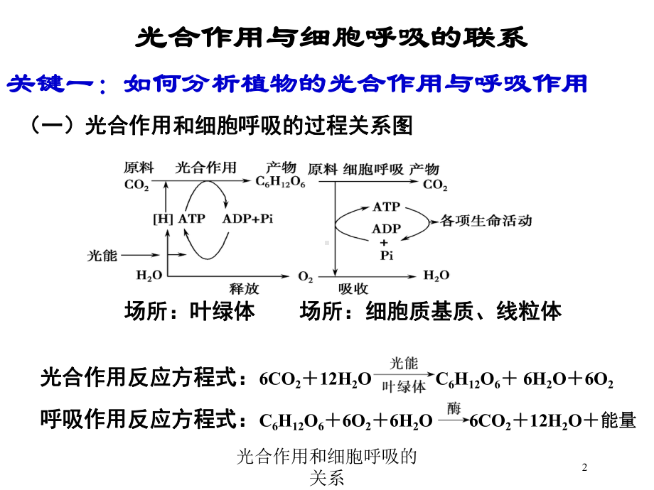 光合作用和细胞呼吸的关系培训课件.ppt_第2页