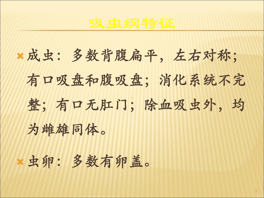 寄生虫检验吸虫纲课件.ppt_第3页