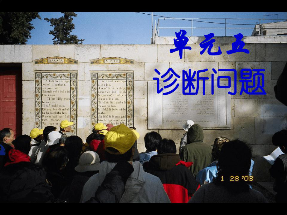 单元诊断问题课件.ppt_第1页