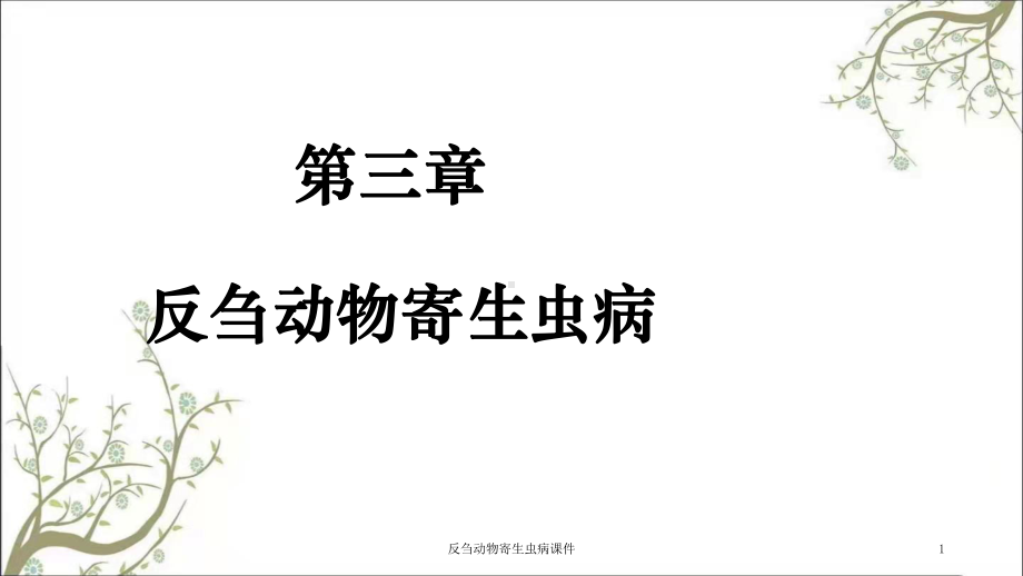 反刍动物寄生虫病课件.ppt_第1页