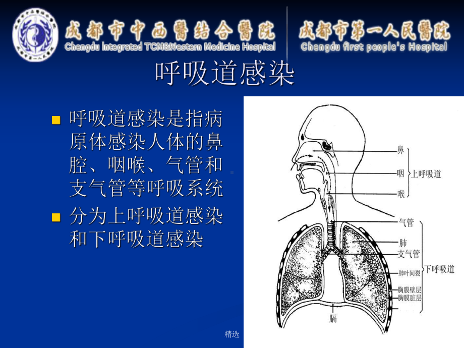 呼吸道九联检病原体检测及其临床意义课件.ppt_第2页