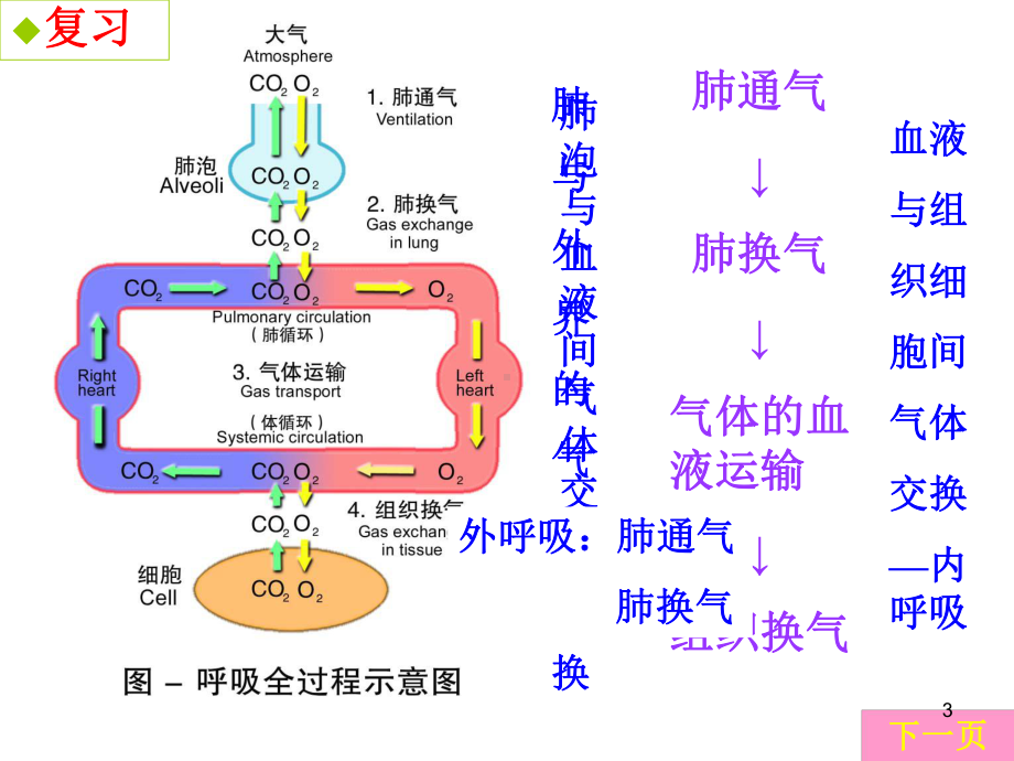 呼吸衰竭病人的护理课件1.ppt_第3页