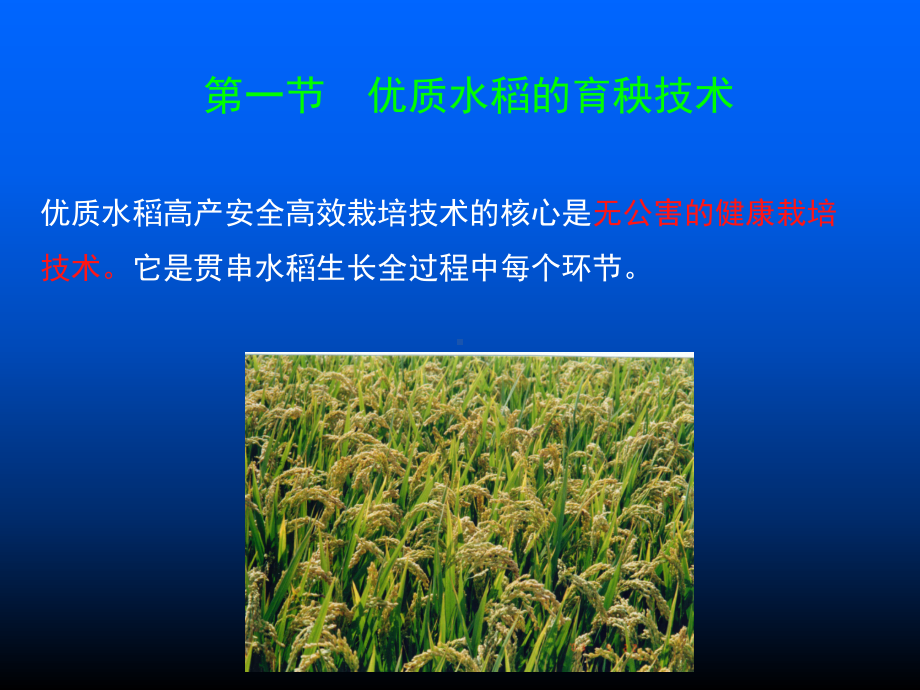 优质水稻高产安全栽培技术课件.ppt_第2页