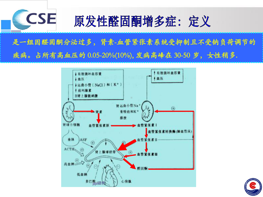 原发性醛固酮增多症专家共识-课件.ppt_第2页