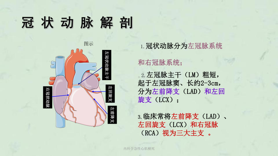 内科学急性心肌梗死课件.ppt_第3页