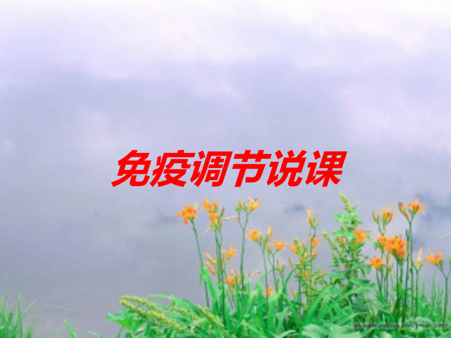 免疫调节说课培训课件.ppt_第1页