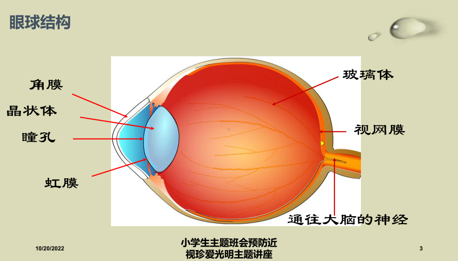 小学生主题班会预防近视珍爱光明主题讲座课件.ppt_第3页