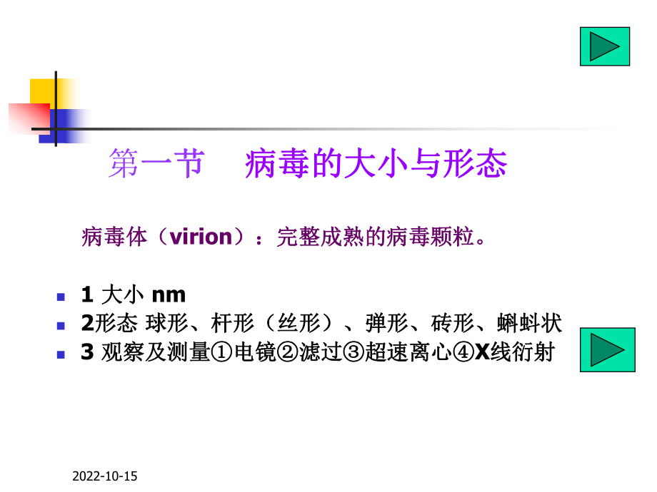 医学微生物学课件第20章病毒的基本性状.ppt_第2页