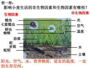 医学课件-初中生物四本书全部重点内容教学课件.ppt