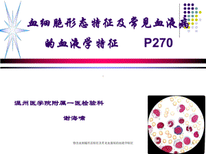 修改血细胞形态特征及常见血液病的血液学特征课件.ppt