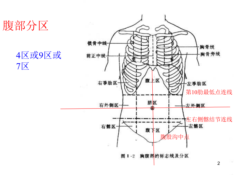 医学课件-腹部超声常规切面课件.ppt_第2页