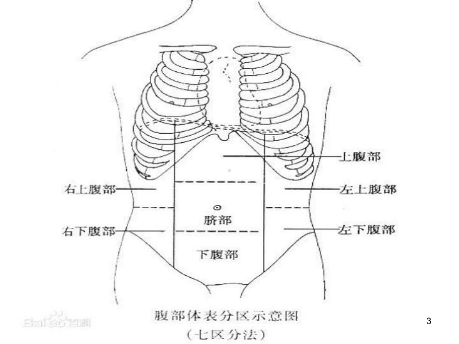 医学课件-腹部超声常规切面课件.ppt_第3页