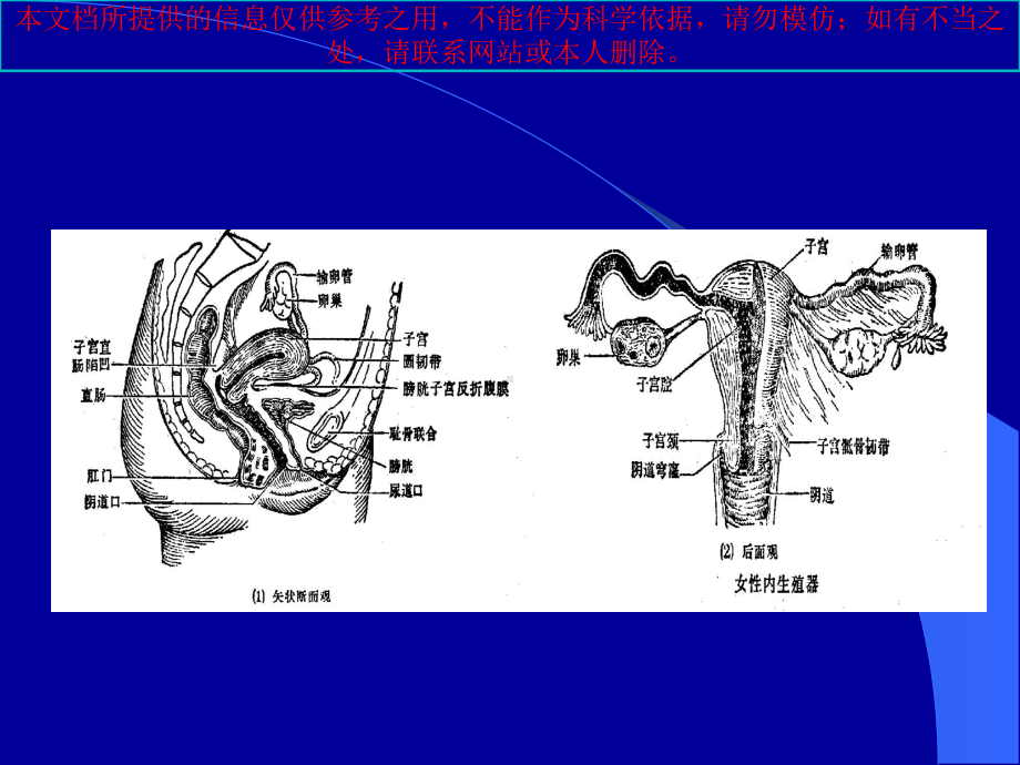 妇科肿瘤的放射治疗培训课件.ppt_第1页