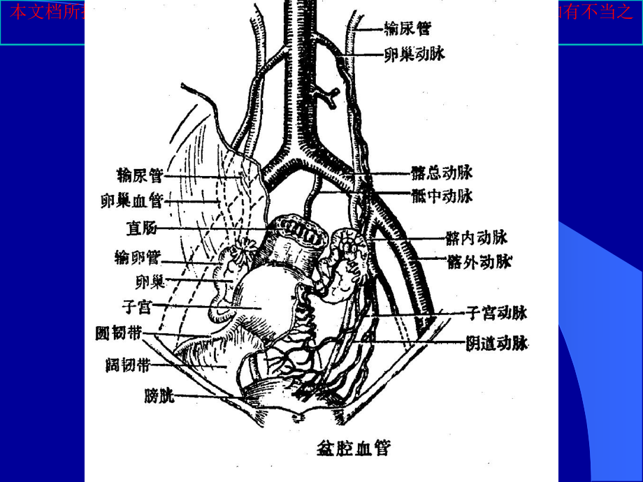 妇科肿瘤的放射治疗培训课件.ppt_第2页