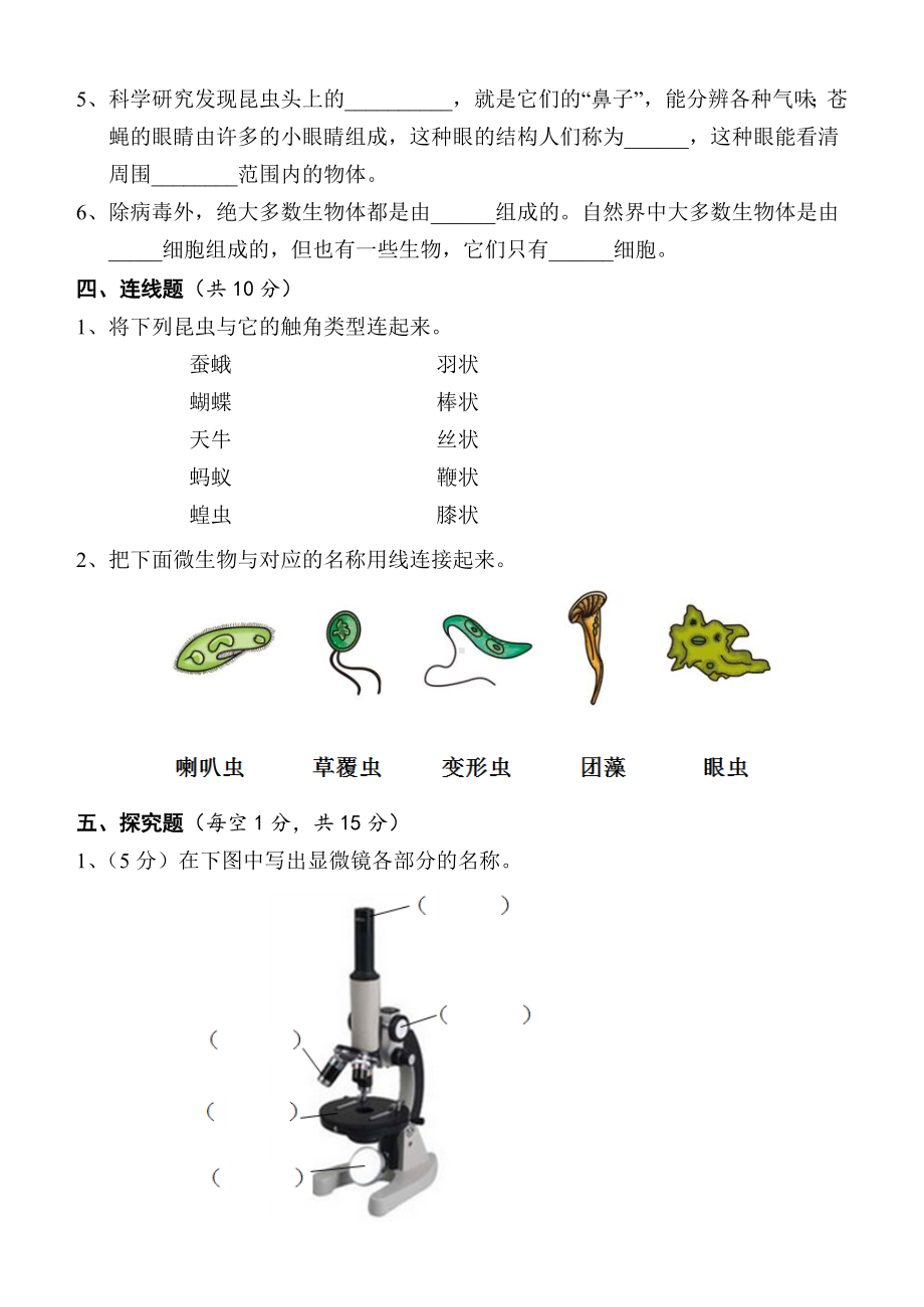 湖南省怀化市通道县2022-2023学年六年级上学期单元目标检测科学试题（第一单元 微小世界）.docx_第3页