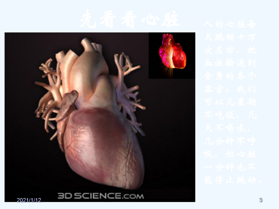 冠心病介入治疗的护理课件.ppt_第3页