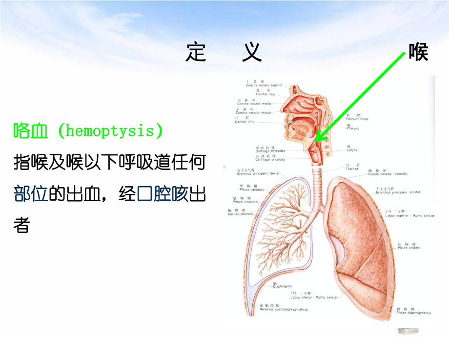 咯血的诊断与处理课件.ppt_第2页