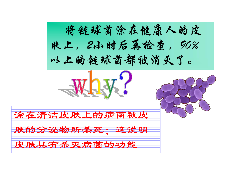 免疫和计划免疫课件-4.ppt_第3页