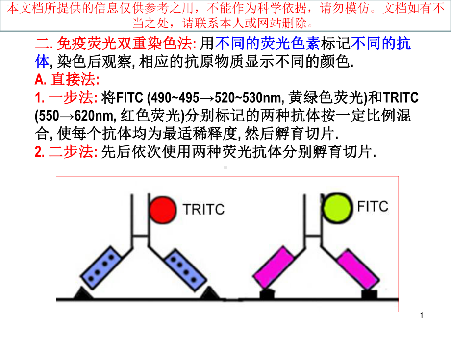 免疫组化双重染色技术培训课件.ppt_第1页