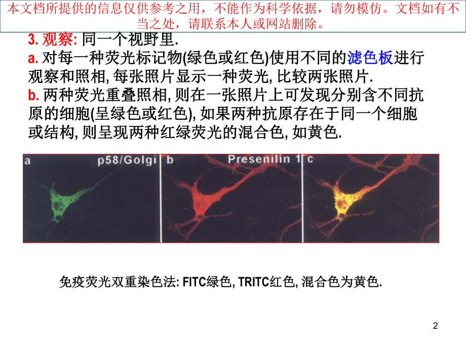 免疫组化双重染色技术培训课件.ppt_第2页