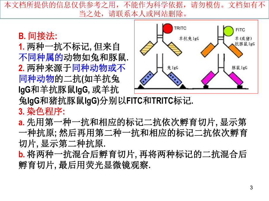 免疫组化双重染色技术培训课件.ppt_第3页