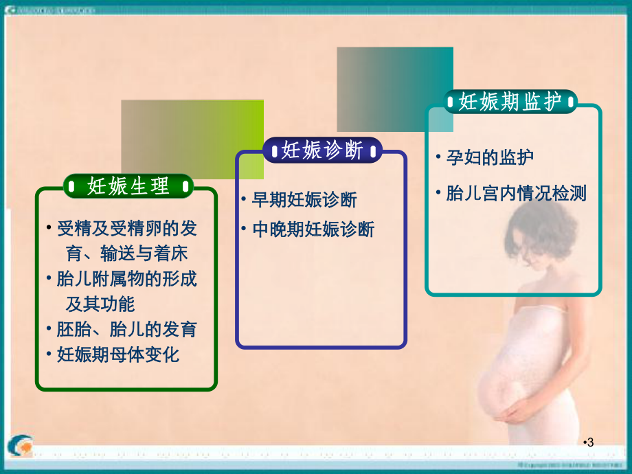 妊娠期妇女的护理学习课件.ppt_第3页