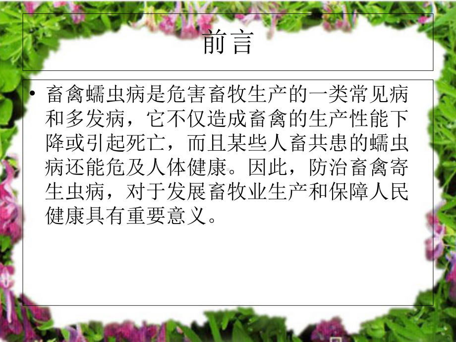 医学抗蠕虫药宣教培训课件.ppt_第2页