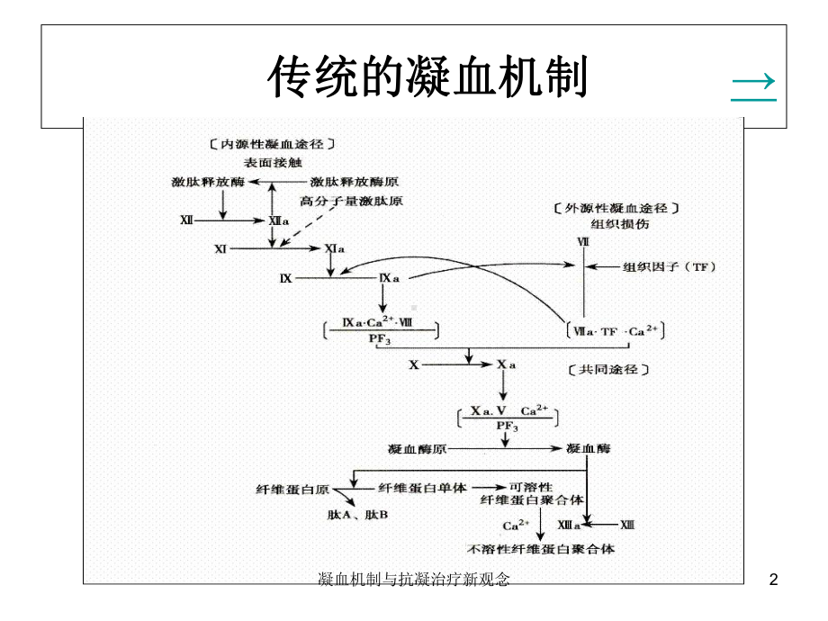 凝血机制与抗凝治疗新观念课件.ppt_第2页