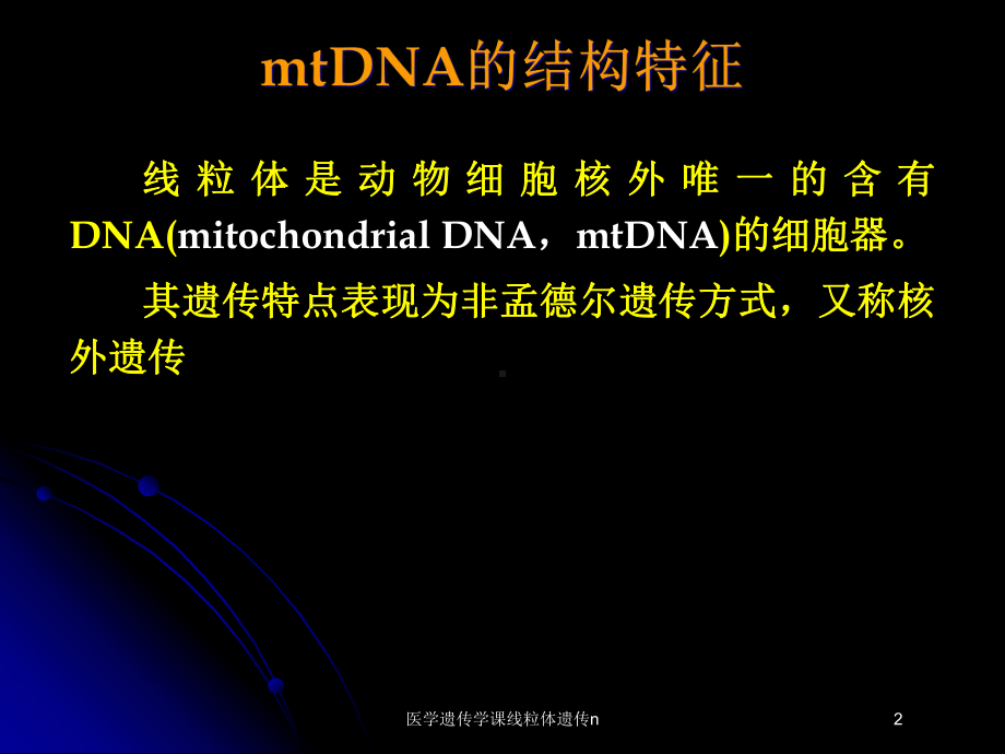 医学遗传学课线粒体遗传n培训课件.ppt_第2页