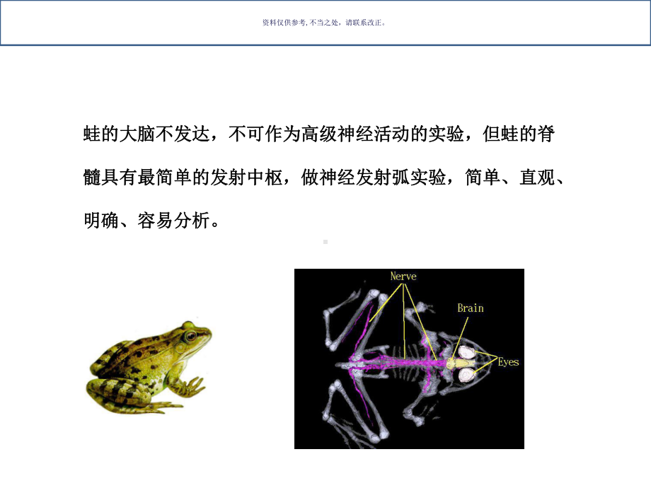 医学生物学研究中实验动物的选择和应用课件.ppt_第2页