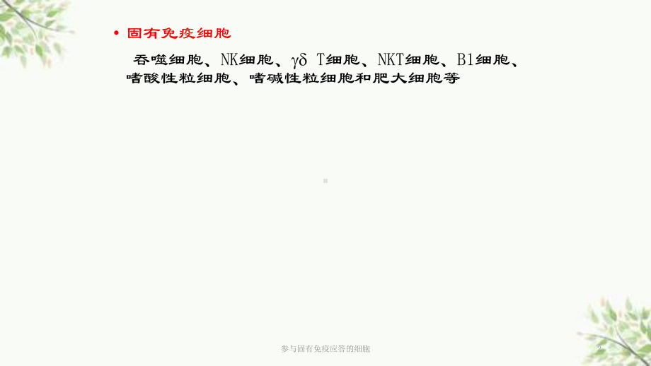 参与固有免疫应答的细胞课件.ppt_第2页