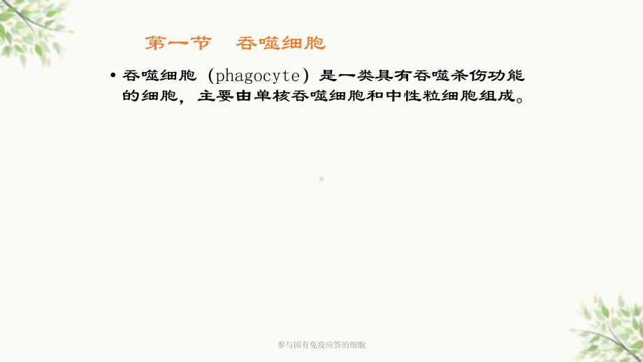 参与固有免疫应答的细胞课件.ppt_第3页