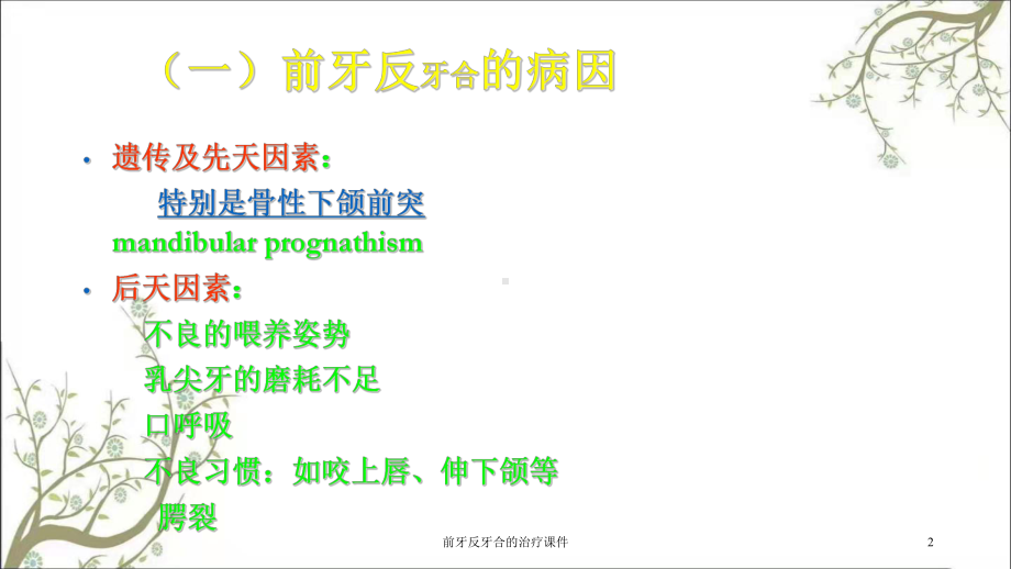 前牙反牙合的治疗课件.ppt_第2页