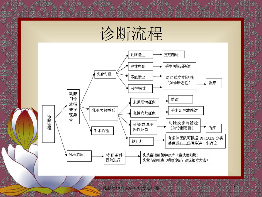 乳腺癌诊治医学知识专题讲座培训课件.ppt_第2页