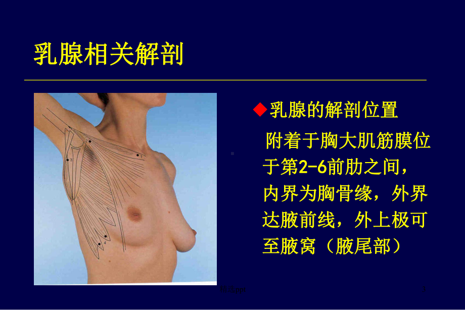 乳腺癌的靶区勾画课课件.ppt_第3页