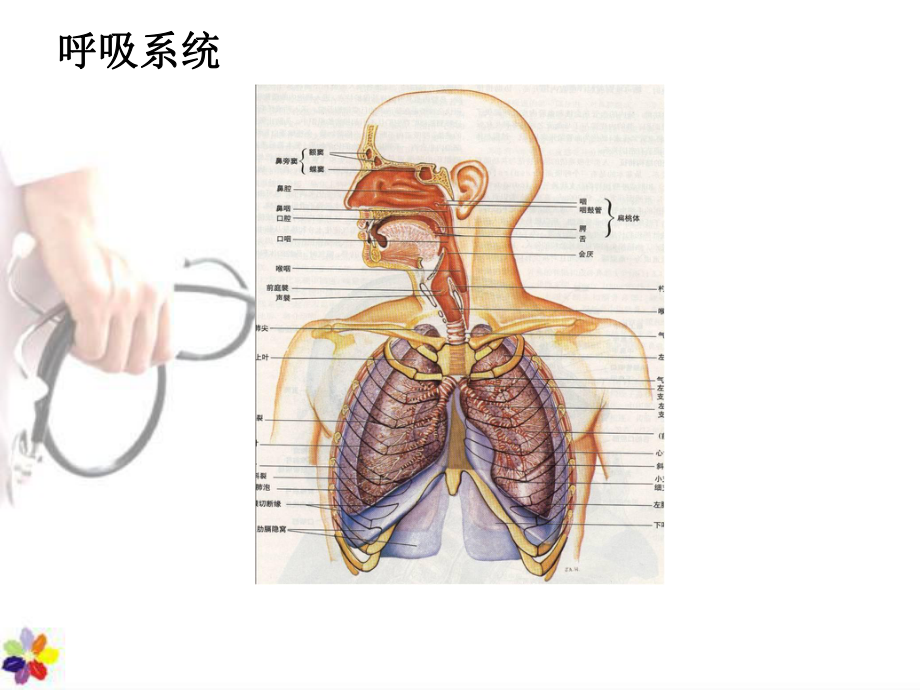 医学课件-呼吸衰竭的护理课件.pptx_第2页