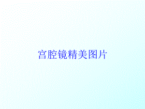 宫腔镜精美图片培训课件.ppt