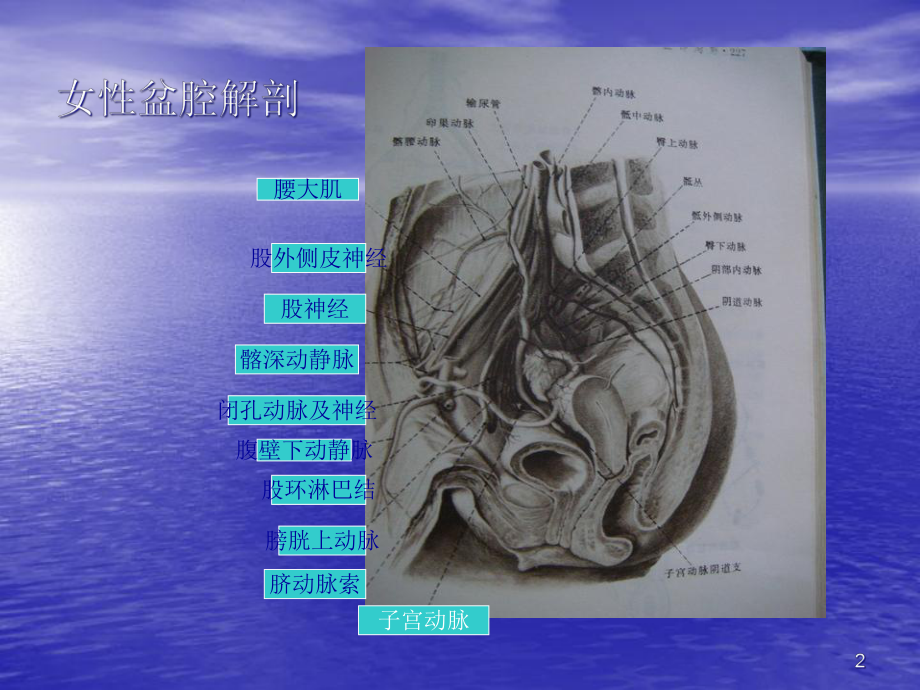 子宫肌瘤CT影像分析课件.ppt_第2页