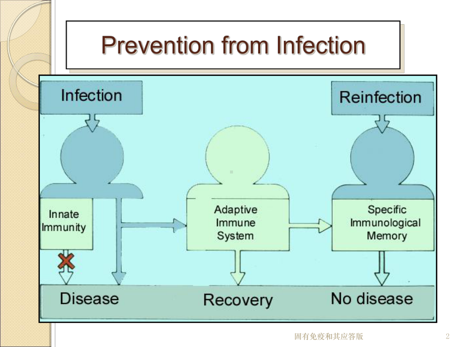 固有免疫和其应答版培训课件.ppt_第2页