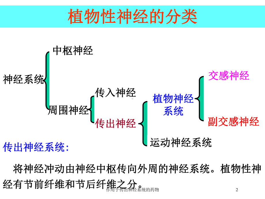 作用于传出神经系统的药物培训课件.ppt_第2页