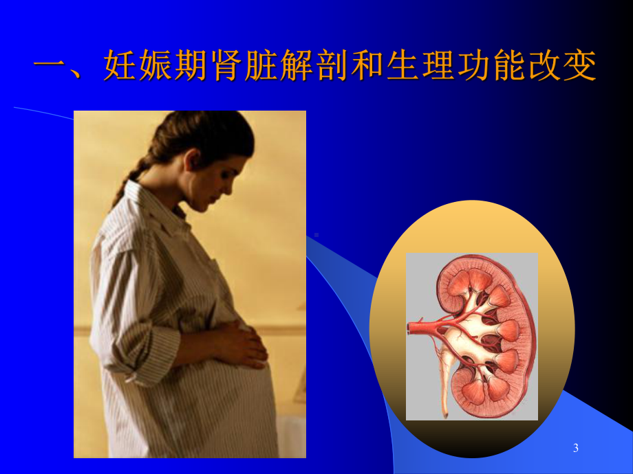 妊娠和肾脏A培训课件.ppt_第3页