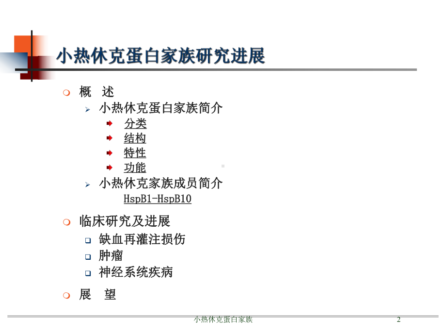 小热休克蛋白家族培训课件.ppt_第2页