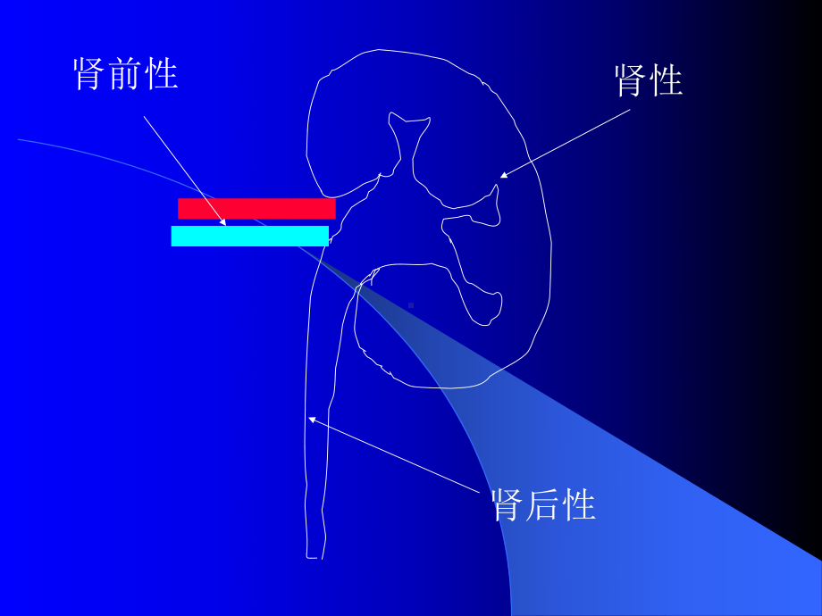 急性肾衰小讲课件.pptx_第2页