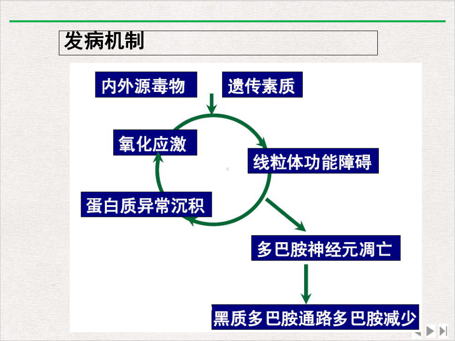 帕金森病及其康复优选课件.ppt_第3页