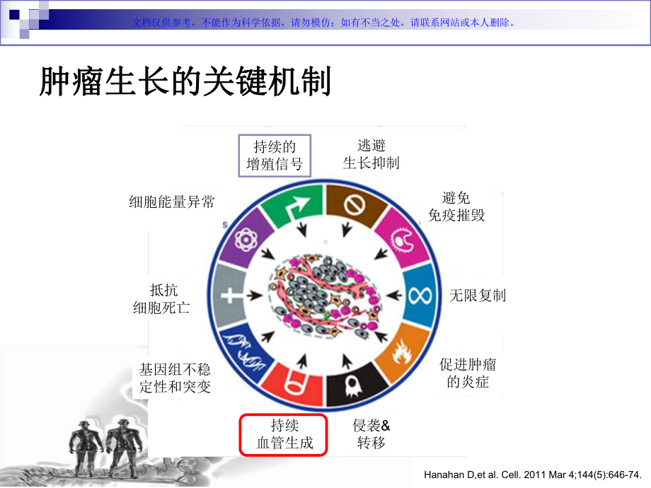 恶性肿瘤子靶向治疗课件.ppt_第3页