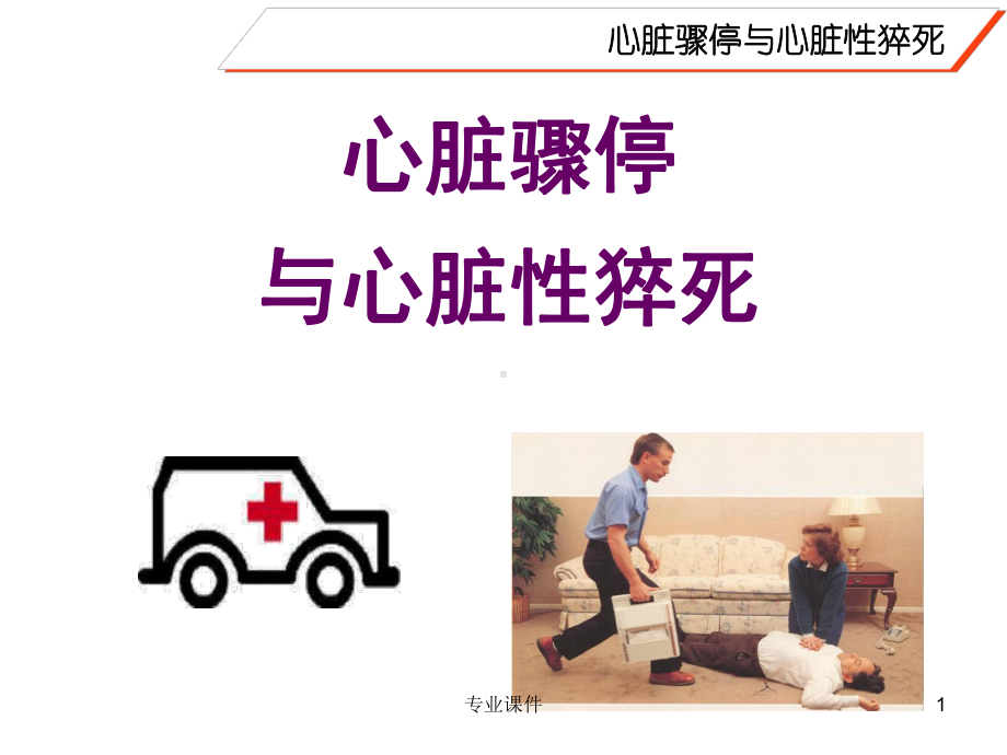 心脏骤停与心脏性猝死(业内借鉴)课件.ppt_第1页