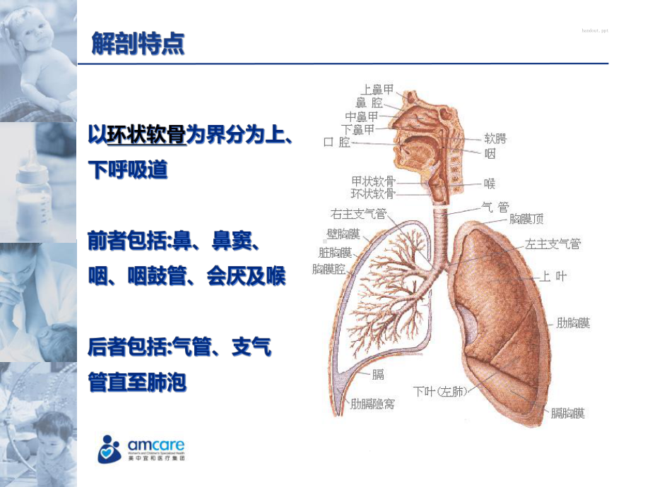 支气管肺炎培训课件.ppt_第3页