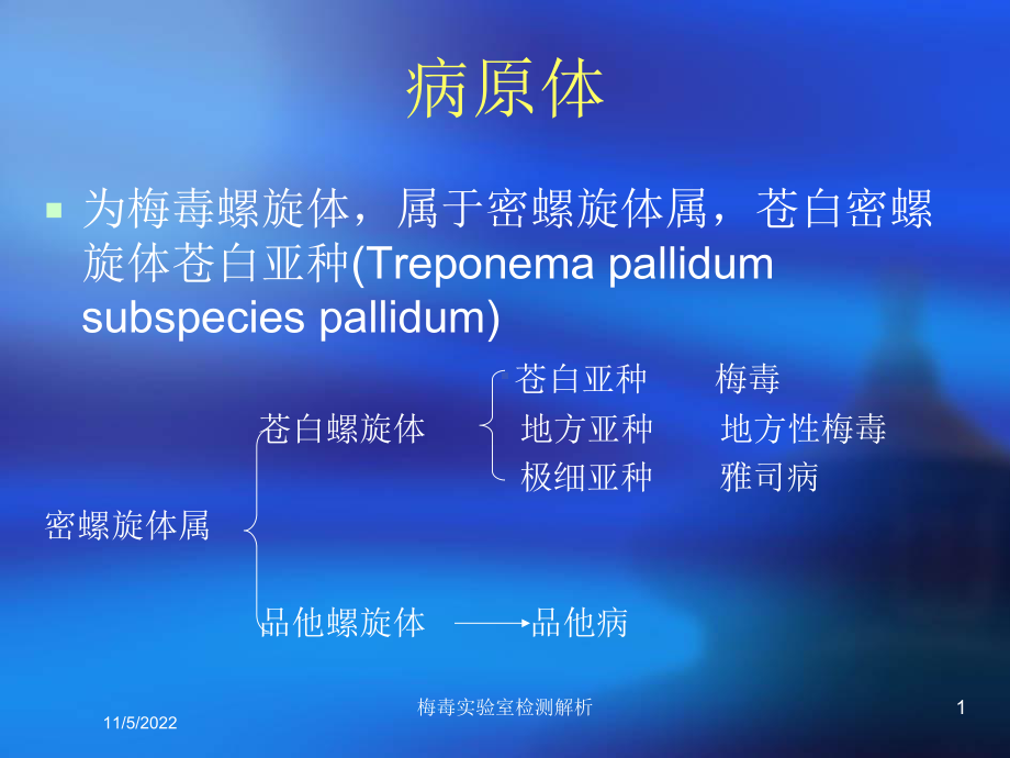 梅毒实验室检测解析培训课件.ppt_第1页