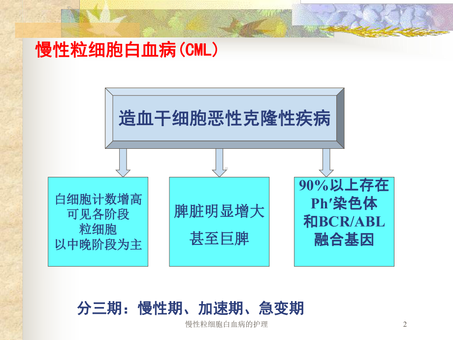 慢性粒细胞白血病的护理培训课件.ppt_第2页