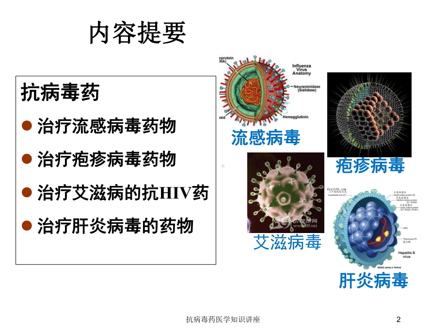 抗病毒药医学知识讲座培训课件.ppt_第2页